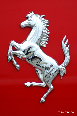 01 (21)